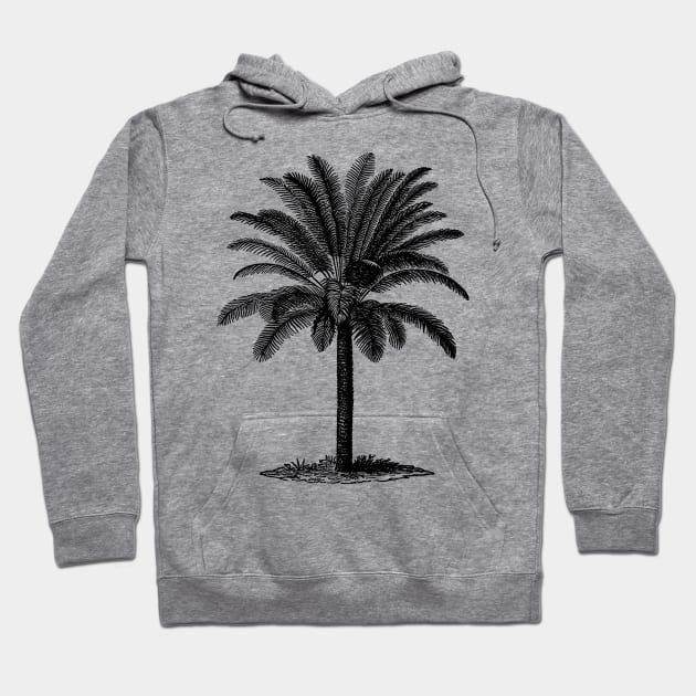 Vintage Palm Tree Hoodie by Vintage Sketches